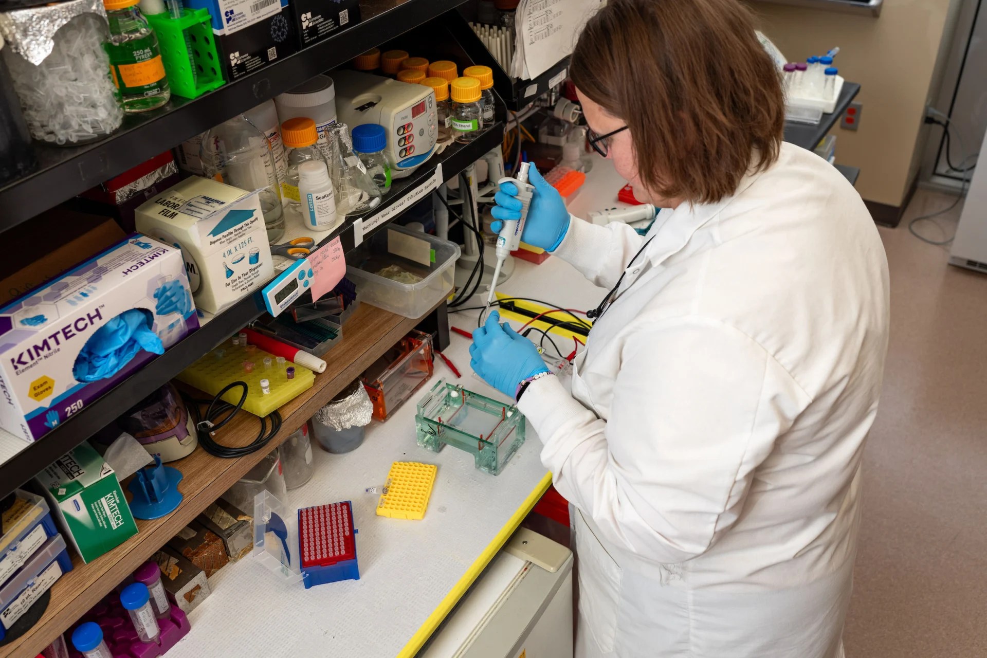 Usd Announces Medical School Programming Will Move To Sioux Falls 10 ywAAAAAAQABAAACAUwAOw==