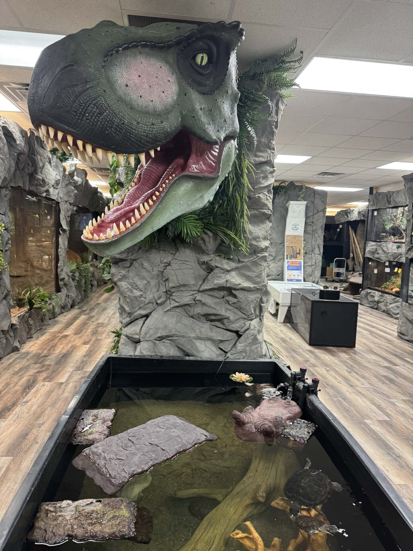 Reptile Adventure Zoo Opens This Week 6 ywAAAAAAQABAAACAUwAOw==