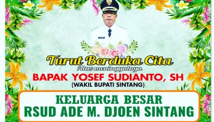 RSUD SINTANG – Menjadi Rumah Sakit yang profesional menghasilkan pelayanan  kesehatan yang berkualitas