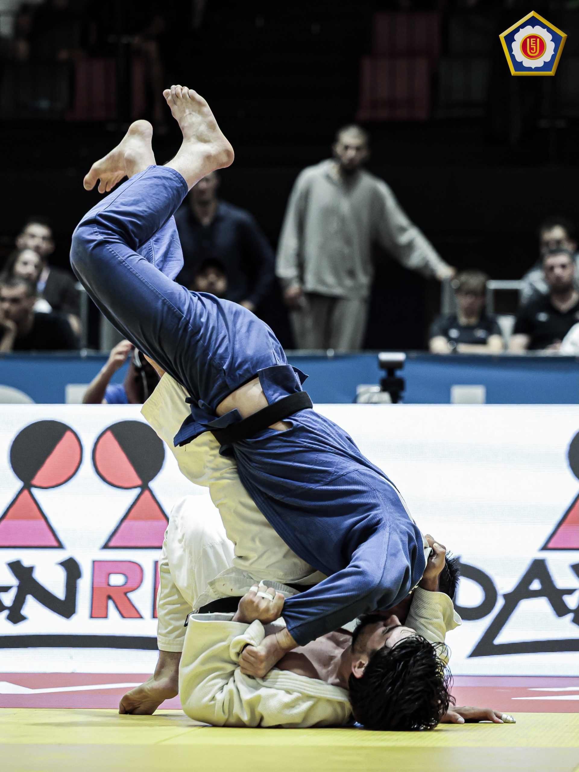 Hebib zlatan, Samardžić i Sadiković bronze na Sarajevo European Openu
