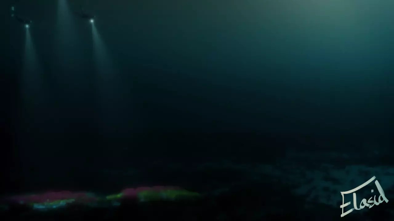 Release the kraken [elasid]