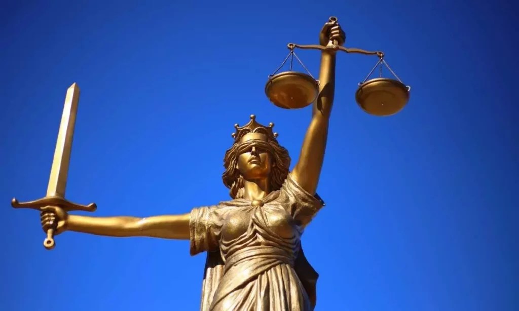 The High Stakes of Cyber Crime: A Case Study of Evan Frederick Light