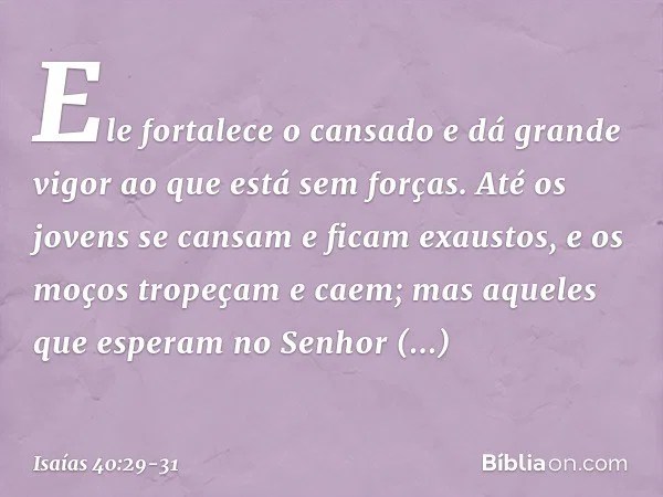 Isaias 40 29 31 Os Que Esperam No Senhor Renovam As Suas Forcas Sobem Com Asas Como Aguias Biblia
