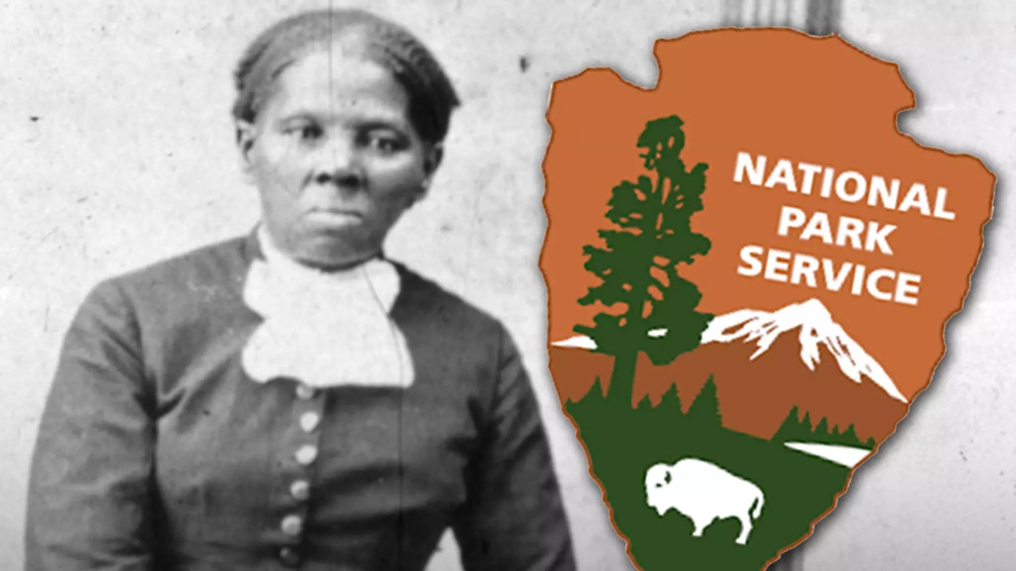 Upholding the Legacy: Why Erasing Black History is a Profound Disservice