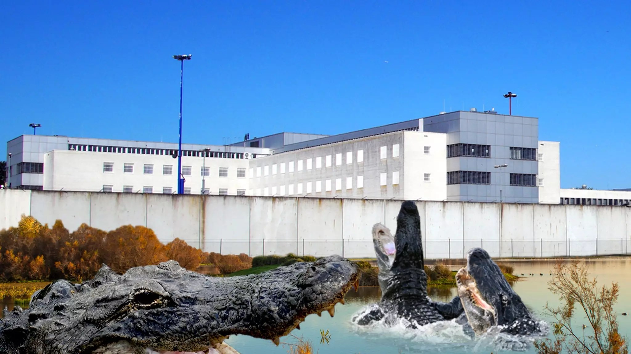 Unleashing Unconventional Ideas: Florida’s Immigrant Detention Center in the Everglades