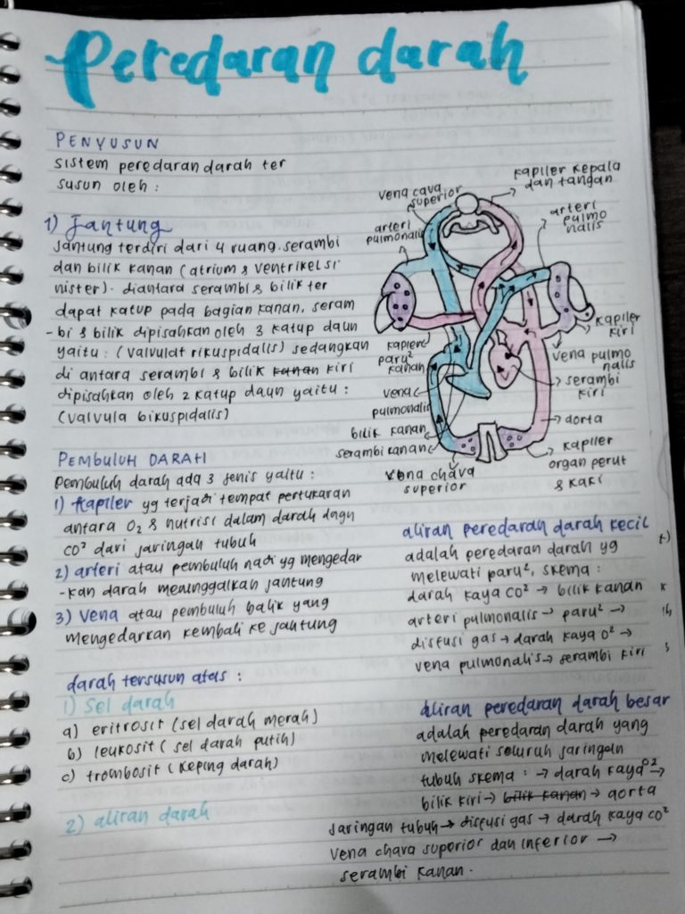 Ambisnotes | Kelas 8 : Biologi - Sistem peredaran darah manusia - Ambisnotes