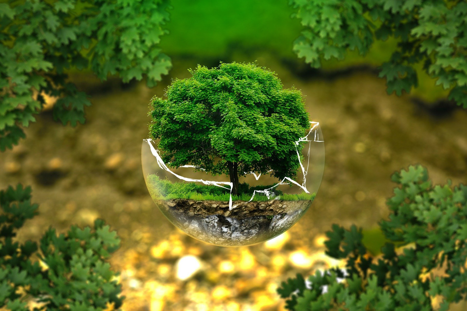 Going Green: Eco-Friendly Travel