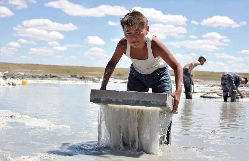 The Emotional Landscape of Tradition: Willa’s Acquisition of “Bauryna Salu” The Emotional Landscape of Tradition: Willa’s Acquisition of “Bauryna Salu”