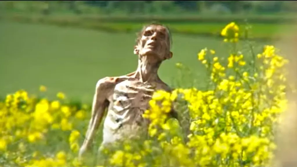 The Zombie Resurrection: Anticipating the Revival of a Horror Classic