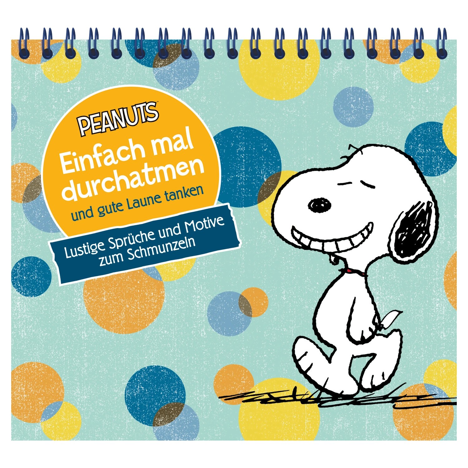 Geschenkbuch/Aufsteller/Gutscheinbox | Aldi Süd 1500_x_1500_jpg