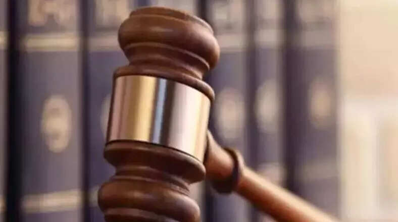 Allahabad HC dismisses petition challenging appointment of Naima Khatoon as AMU VC, ET Education Allahabad HC dismisses petition challenging appointment of Naima Khatoon as AMU VC, ET Education