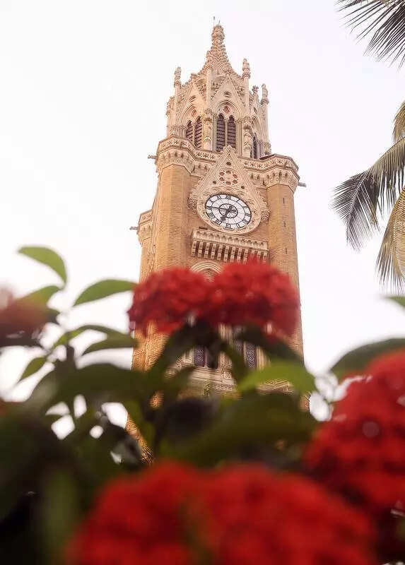 Mumbai University’s BA, BCom, BSc students can now opt for technical courses, ETEducation Mumbai University’s BA, BCom, BSc students can now opt for technical courses, ETEducation