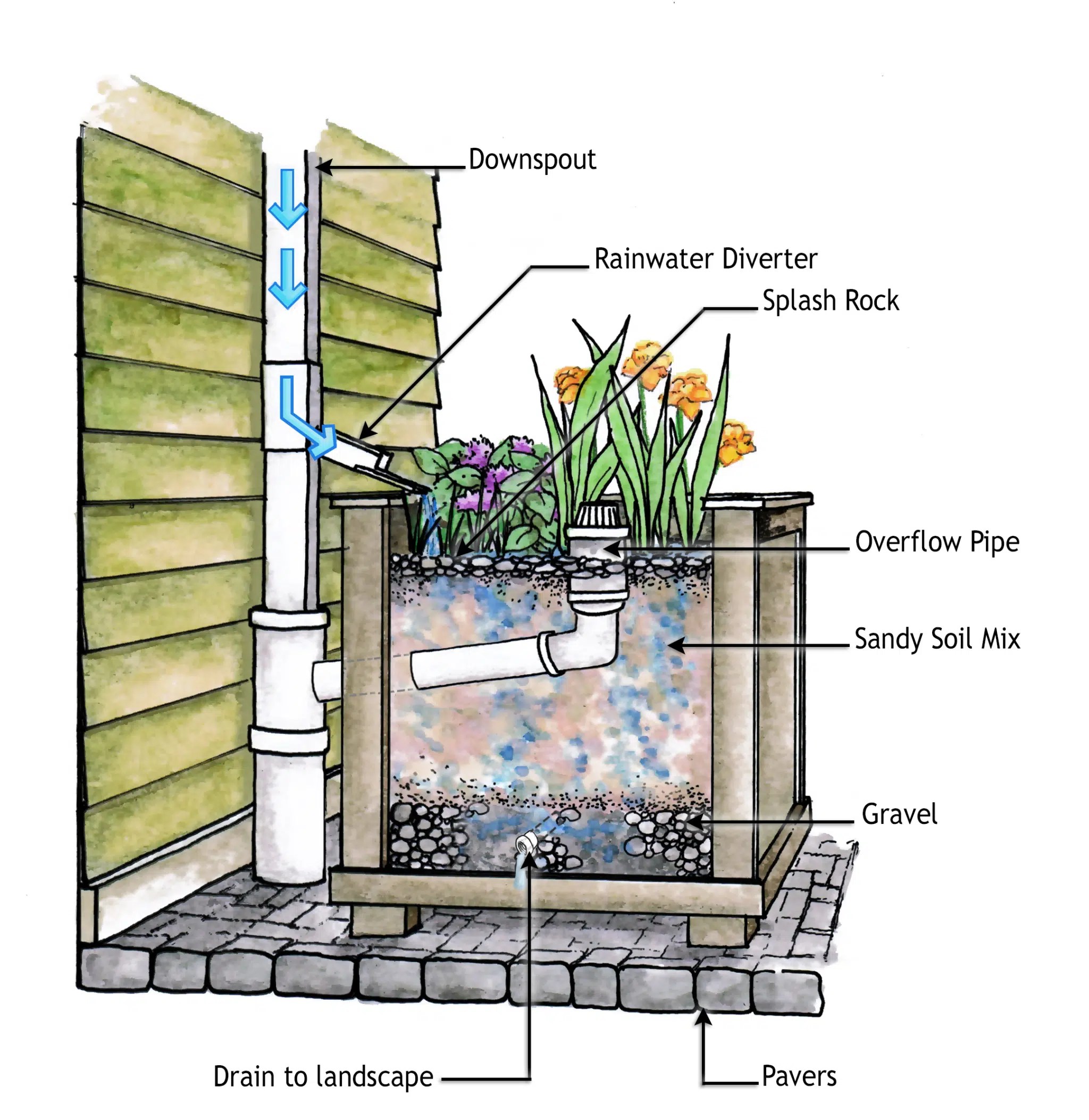 Downspout planter