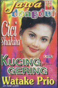 Cici Shahita Discography