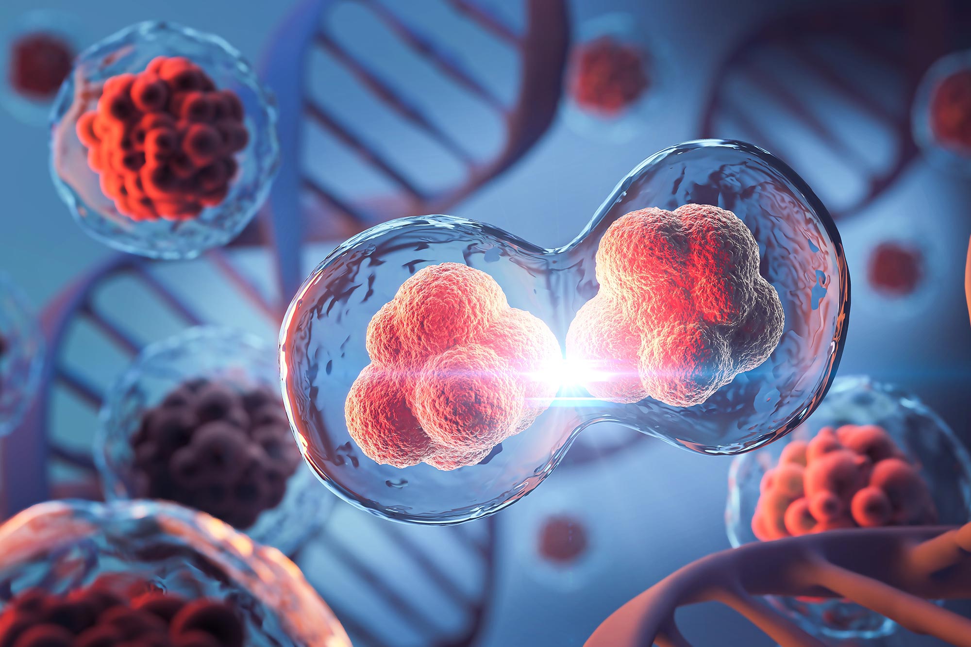 Scientists Just Discovered a Cellular Survival System That Was Never Supposed To Exist