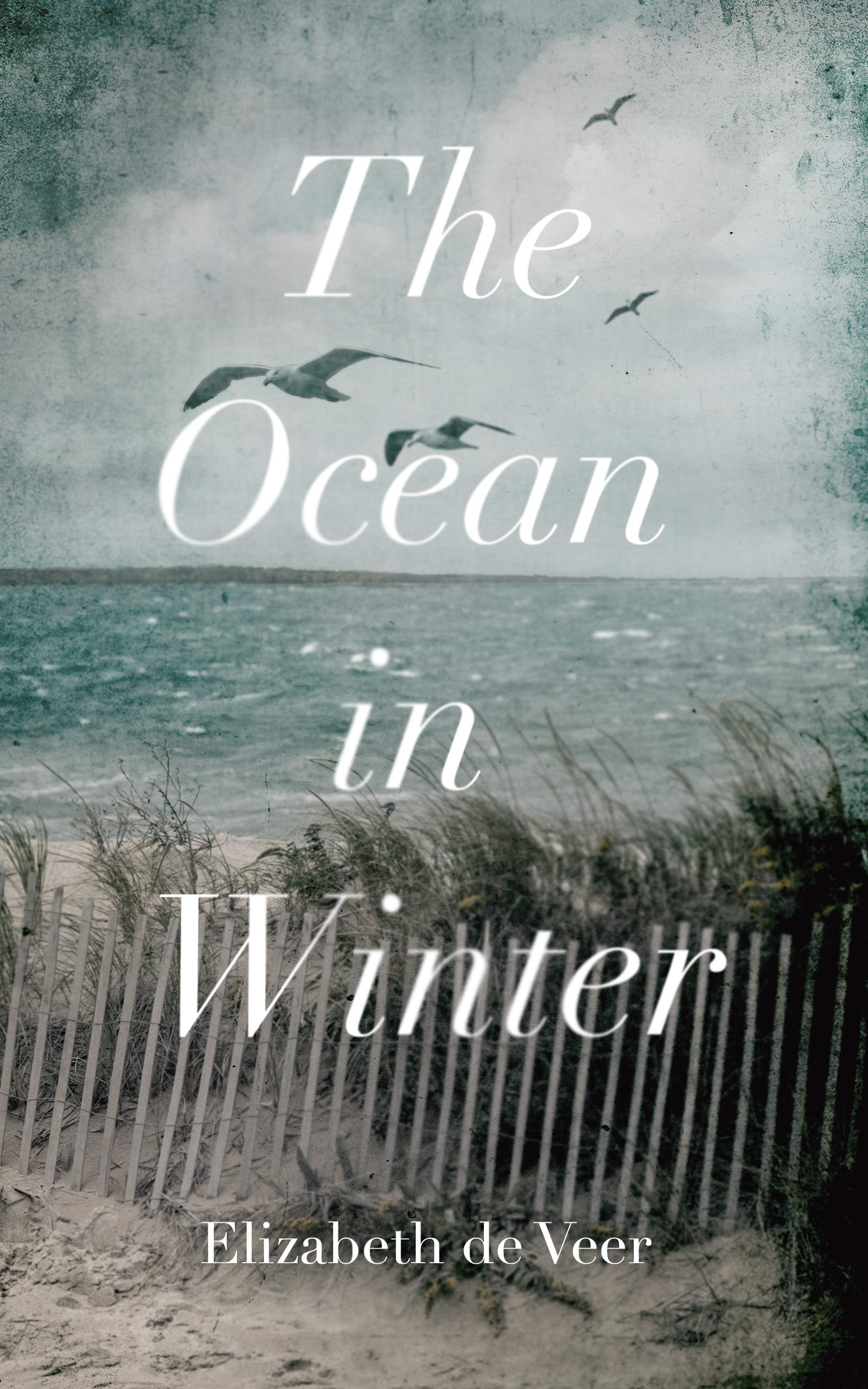 The ocean in winter