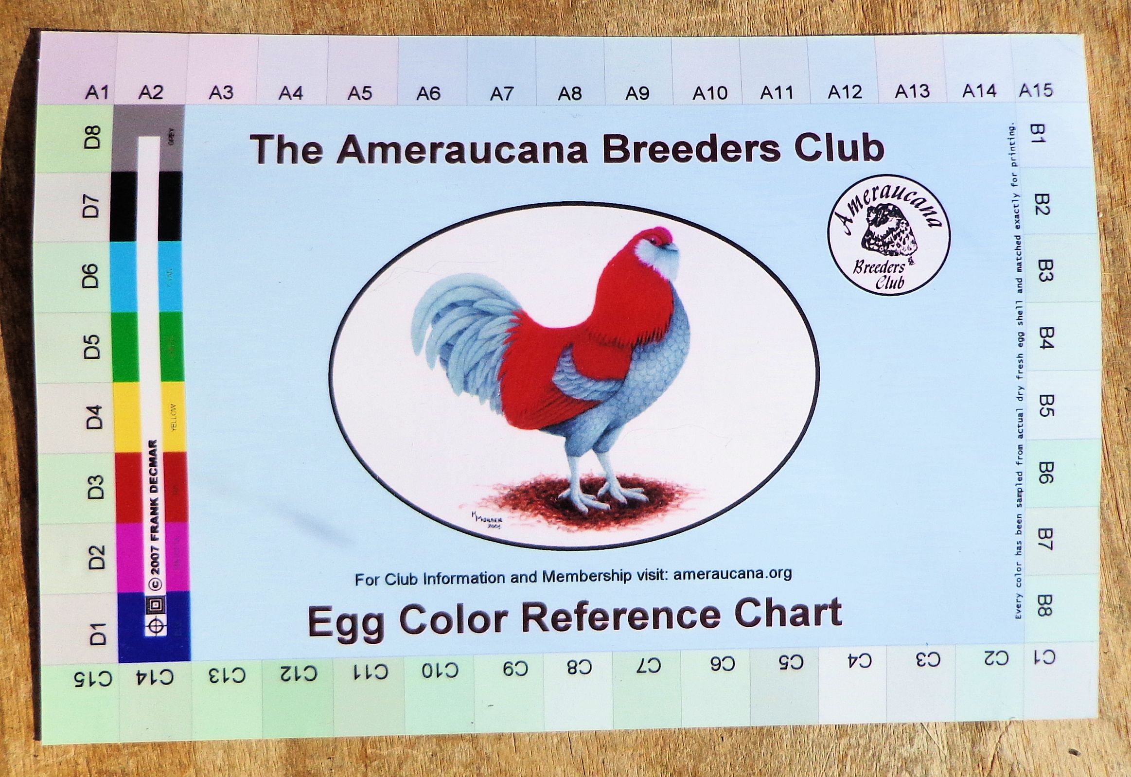 Роял канин бридер клаб. Breeding club usa. Breeding club. Breeding club. Breeding club.