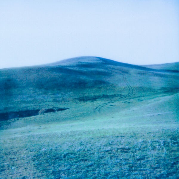 [Single] tota – Olive