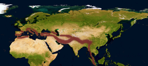 Orogenesi Della Catena Alpino-Himalayana | Sognando La Gran Via Delle Orobie 269_x_600_jpg