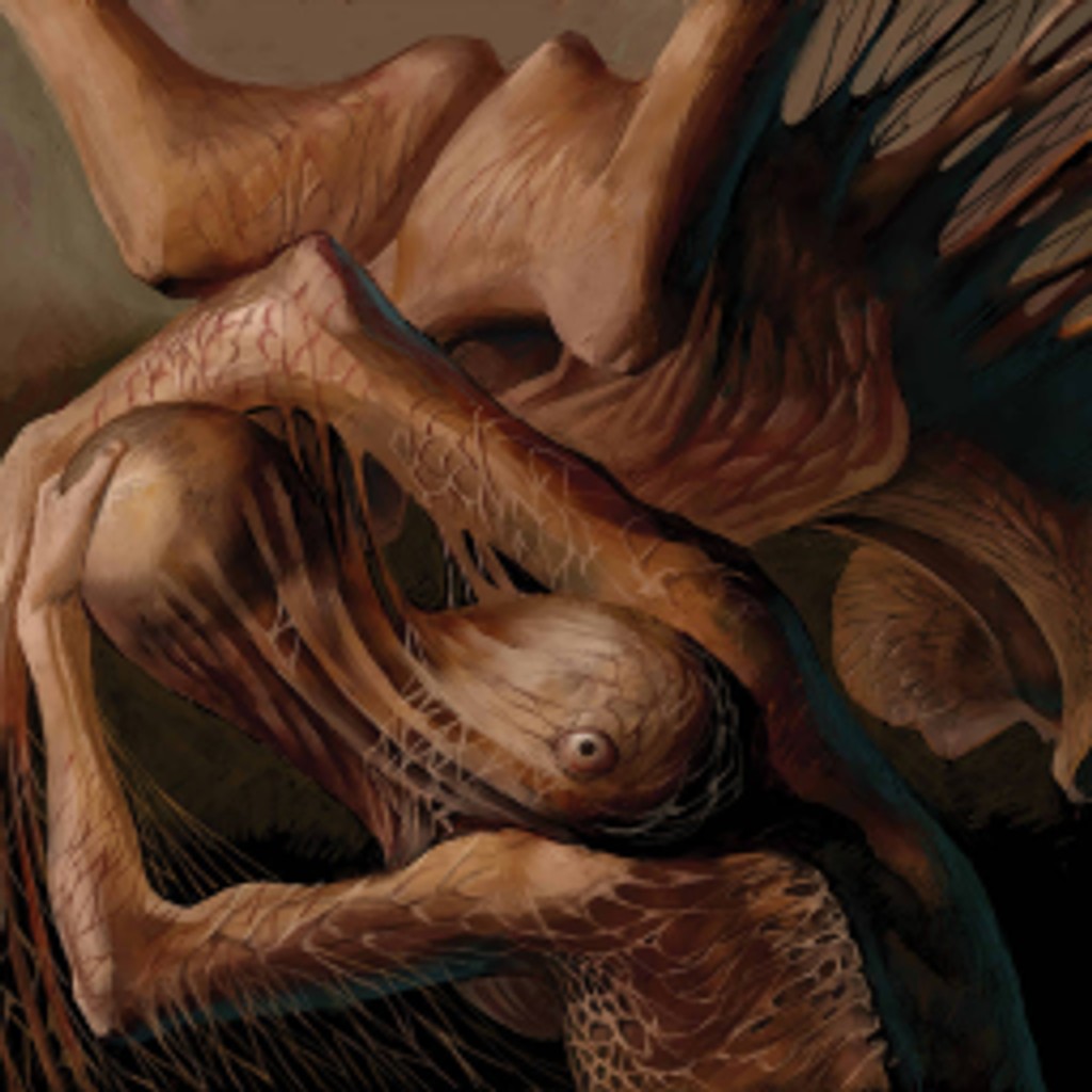 SCP-610-1 | Shapes, Inc
