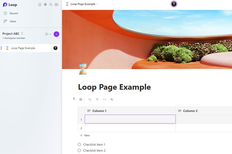 is loop net worth the money