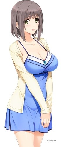 共享老婆共享结婚，日本黄游厂商成功举办 VR 结婚典礼
