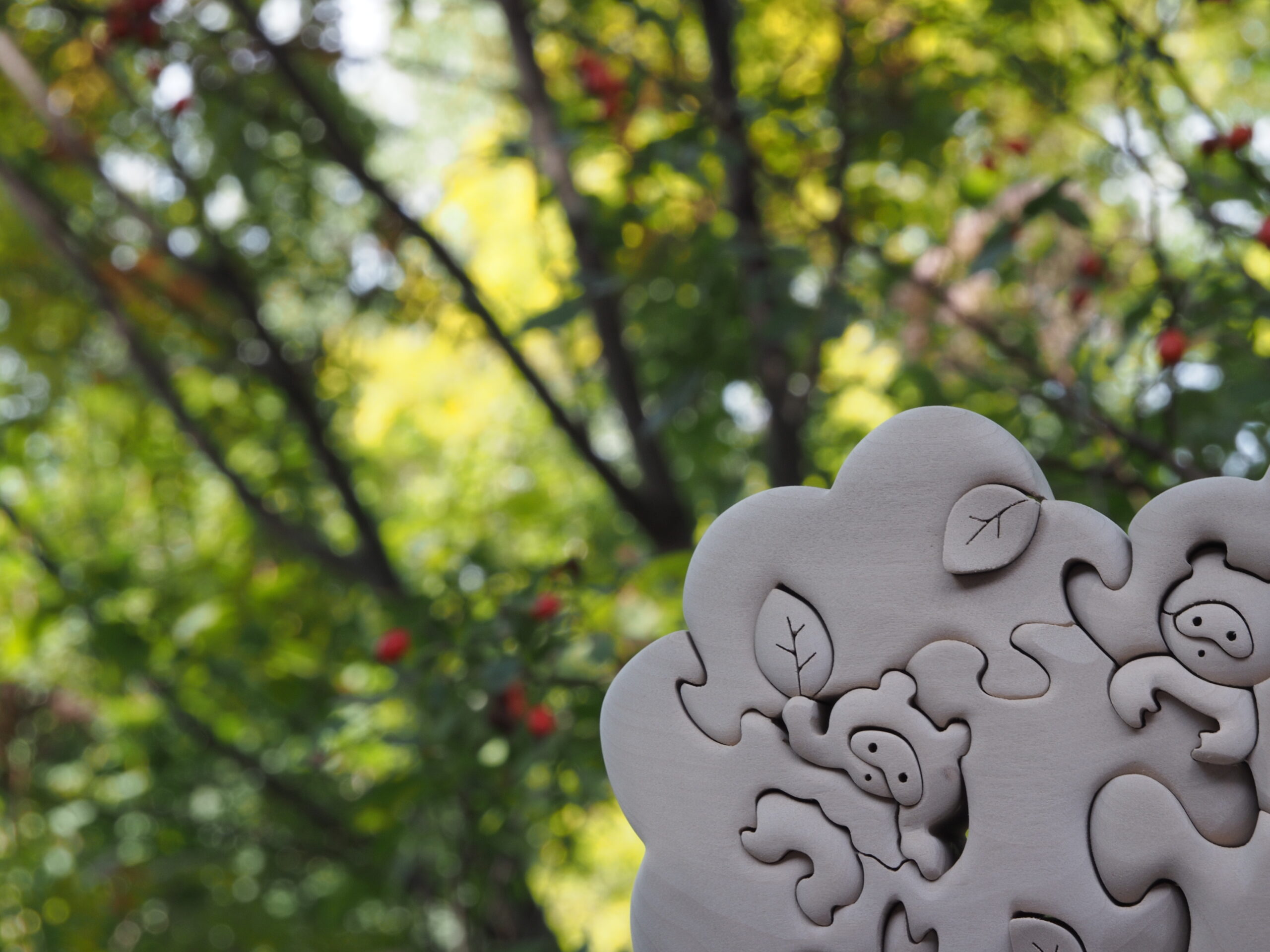 たぬきの森「フェスタ」M - しんぷうしゃ