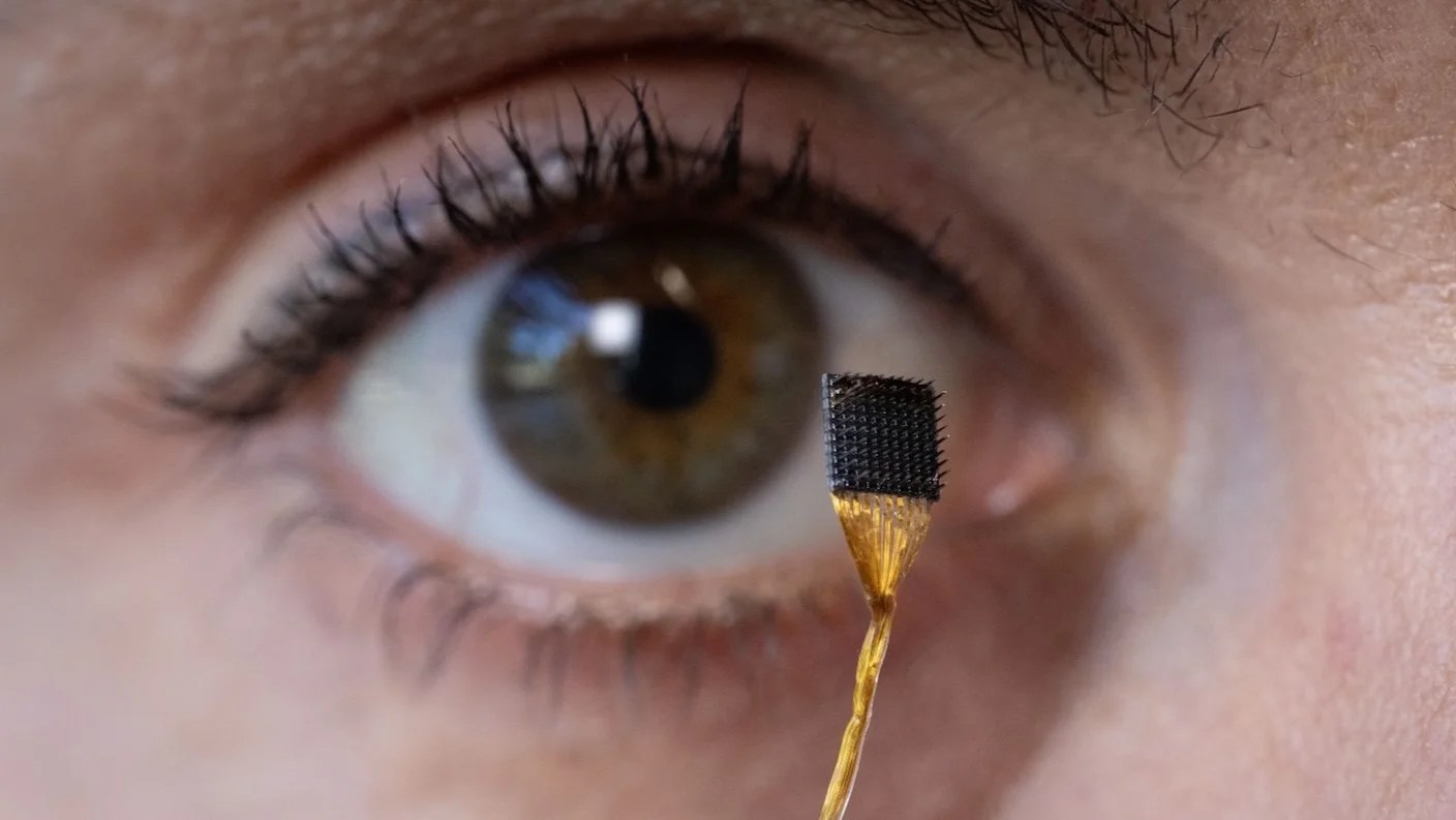 New Brain Implant Decodes ‘Inner Monologue’ of People With Paralysis New Brain Implant Decodes ‘Inner Monologue’ of People With Paralysis