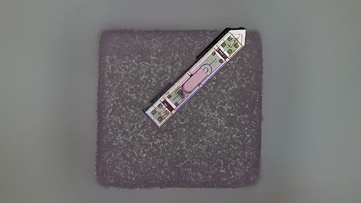 This Wireless Brain Implant Is Smaller Than a Grain of Salt