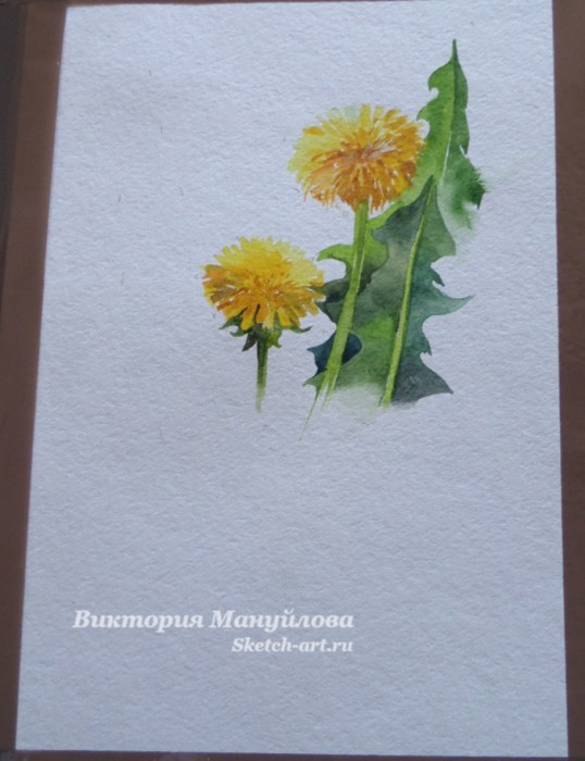 как рисовать одуванчик красками