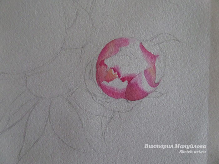 нарисовать листья пиона