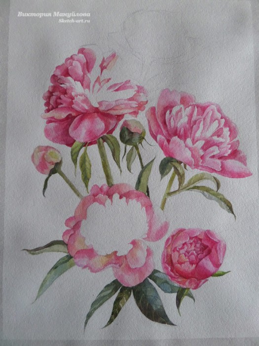 рисуем пионы в вазе