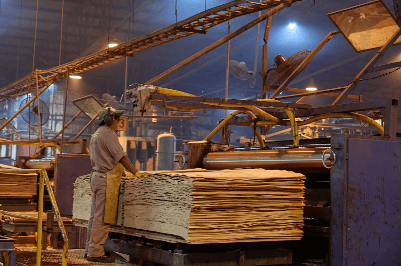 Celulosa Argentina aclara que sus dos plantas están en pleno funcionamiento y el pago de salarios está encaminado Celulosa Argentina aclara que sus dos plantas están en pleno funcionamiento y el pago de salarios está encaminado