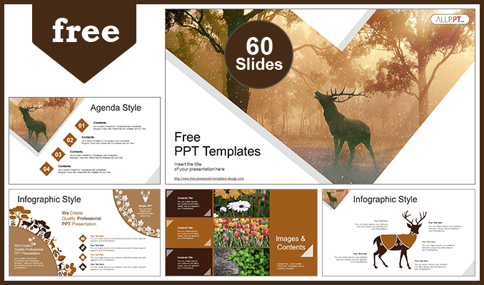 safari Powerpoint templates and Google Slides themes -Slidego