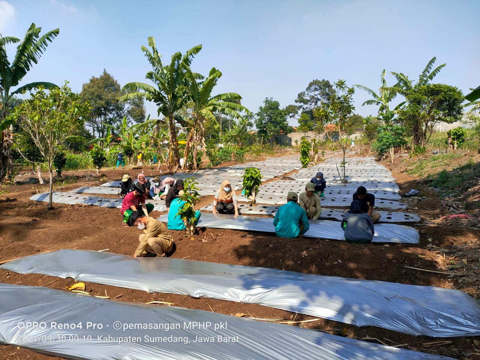 PRAKTIK KERJA LAPANGAN (PKL) BERBASIS WORK BASED LEARNING (WBL) TEMATIK –  SMK PPN TANJUNGSARI