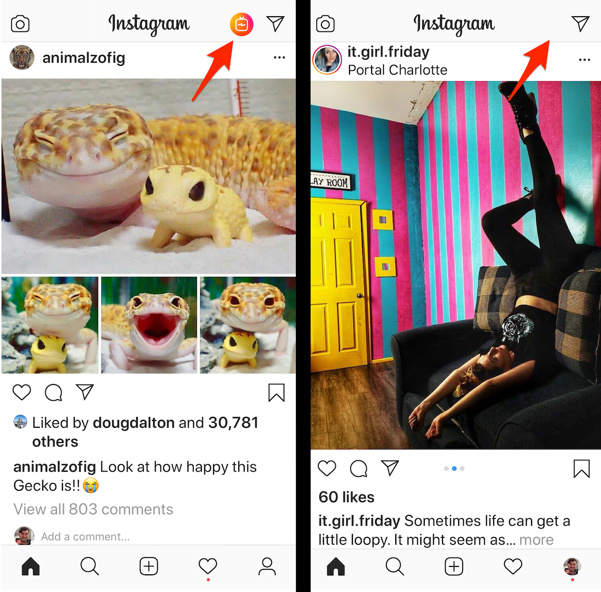 Ikonka Igtv Zniknela Z Instagrama Socialpress