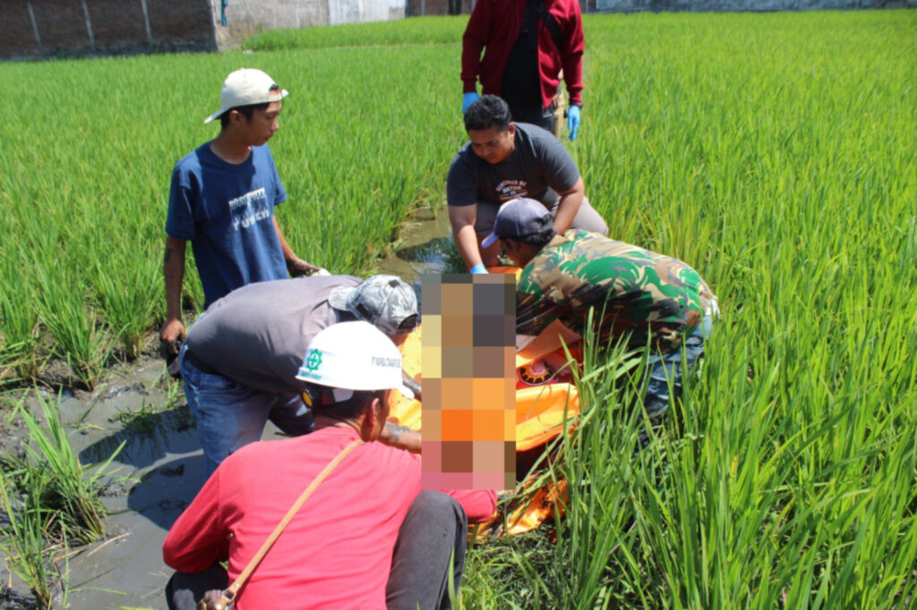 Polisi Lakukan Olah TKP Penemuan Mayat Pria di Pematang Sawah Sukasenang Polisi Lakukan Olah TKP Penemuan Mayat Pria di Pematang Sawah Sukasenang