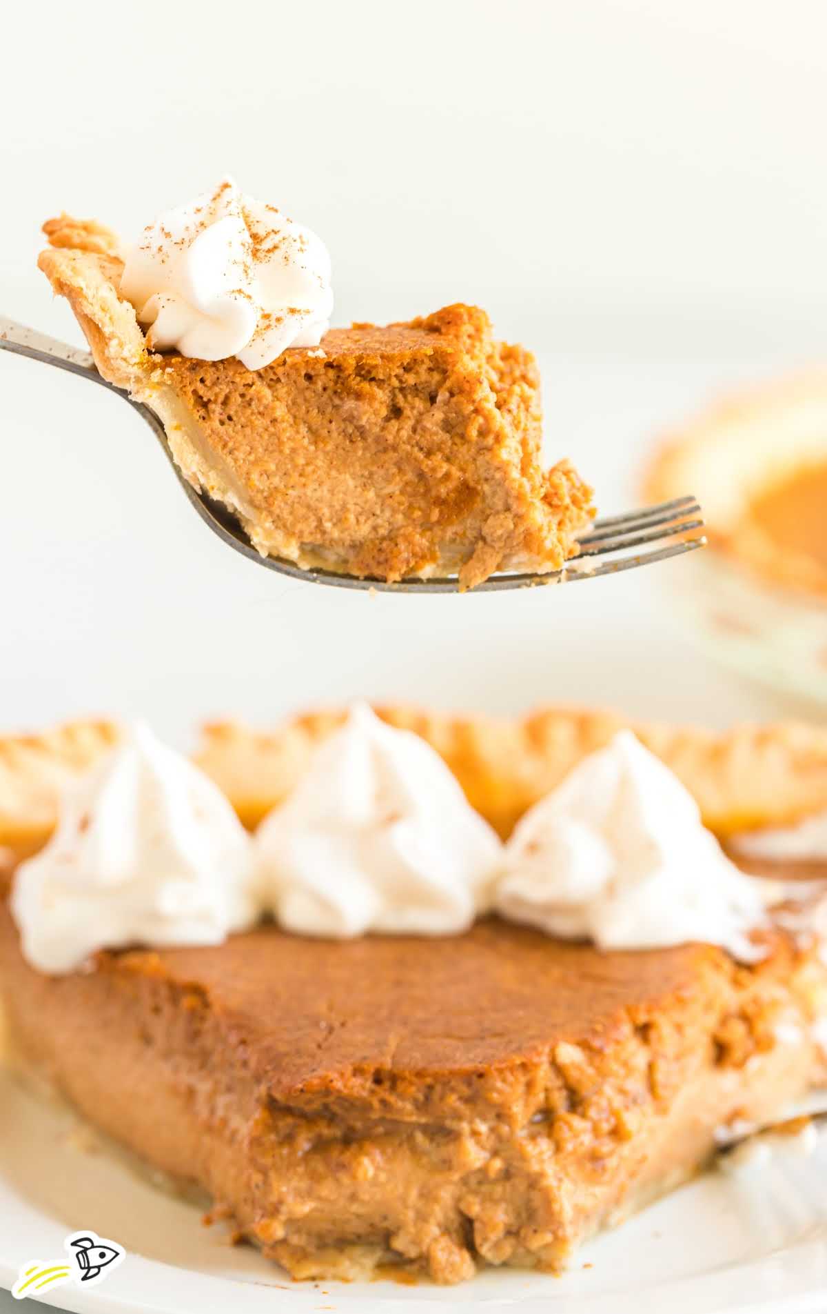 Sugar Free Pumpkin Pie Recipe Diabetic