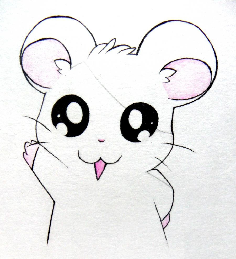 милые рисунки срисовать