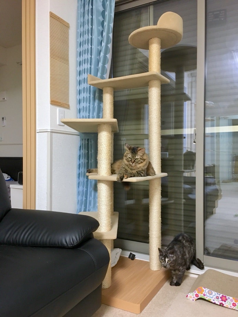 ペッツデポ 閉店