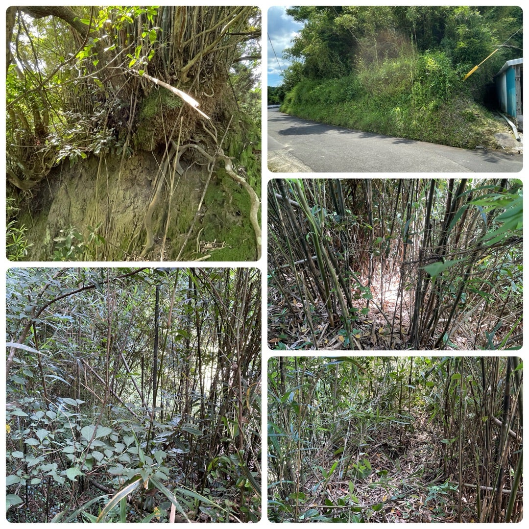晴れたので…柿本城跡・荒瀬城跡 | ハズママのブログ