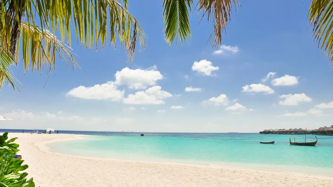 31 Schöne Sommerbilder & Sommer-Hintergrundbilder 720_x_1280_jpg