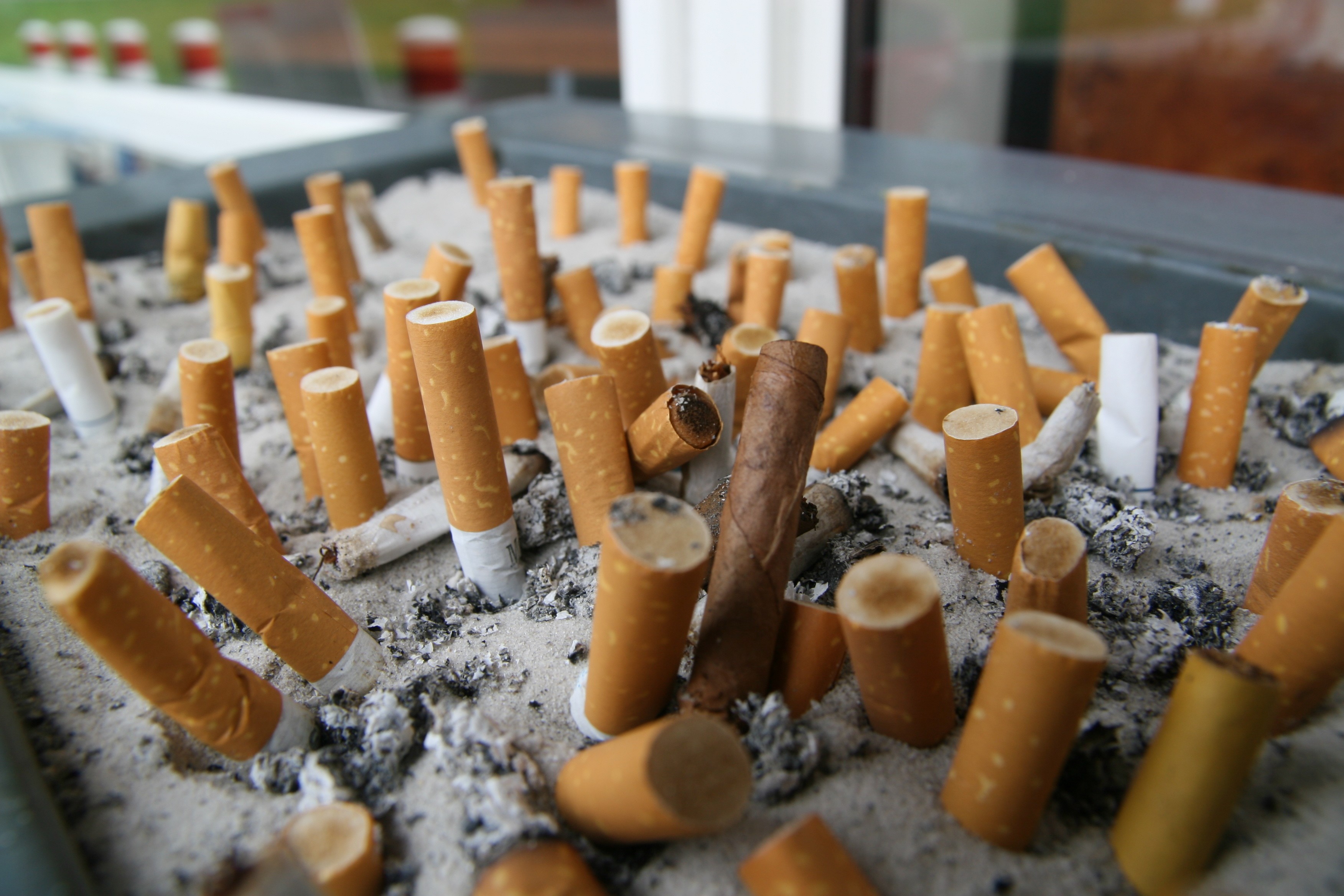Le premier campus sans tabac de France inauguré à Rennes | Bretagne Actu