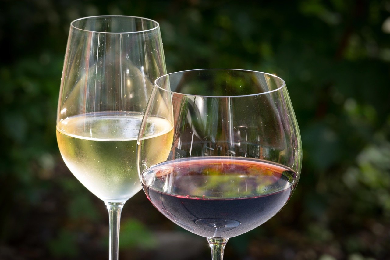 Sous Les Paves La Vigne 70 Exposants Attendus Au Salon Du Vin Naturel A Lyon Actu Lyon