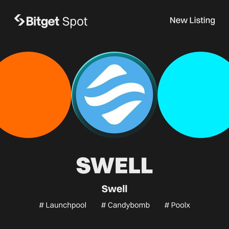swell net worth - Ilustrasi 3