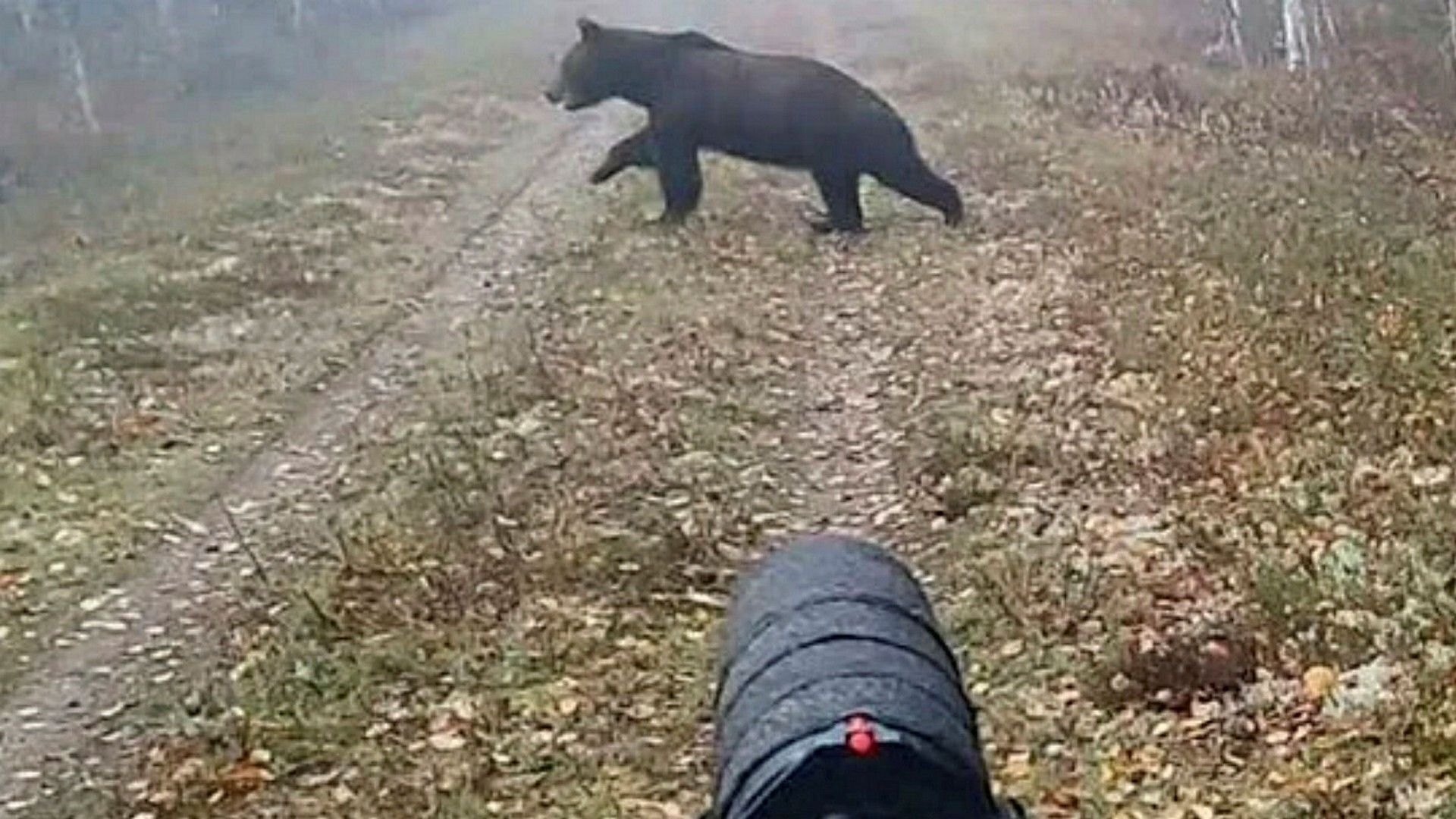 Fördubbling av jaktbrott: ”Kör runt med laddade vapen”