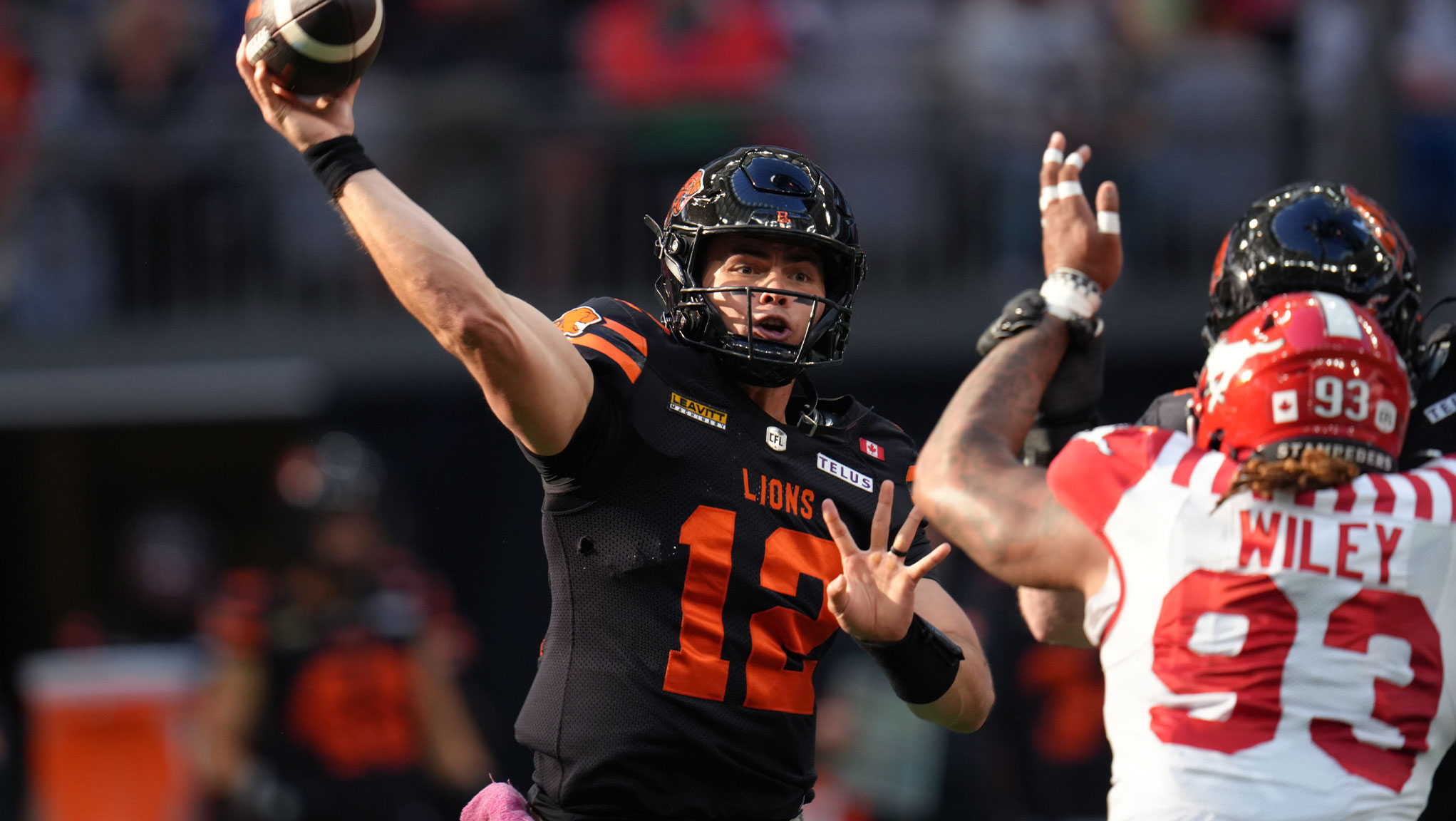 Angelina pinela porn