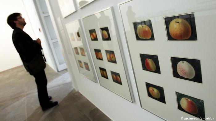 Kunst In Kassel Video Thema Podcast Ohne Ut Dw 04 07 2012