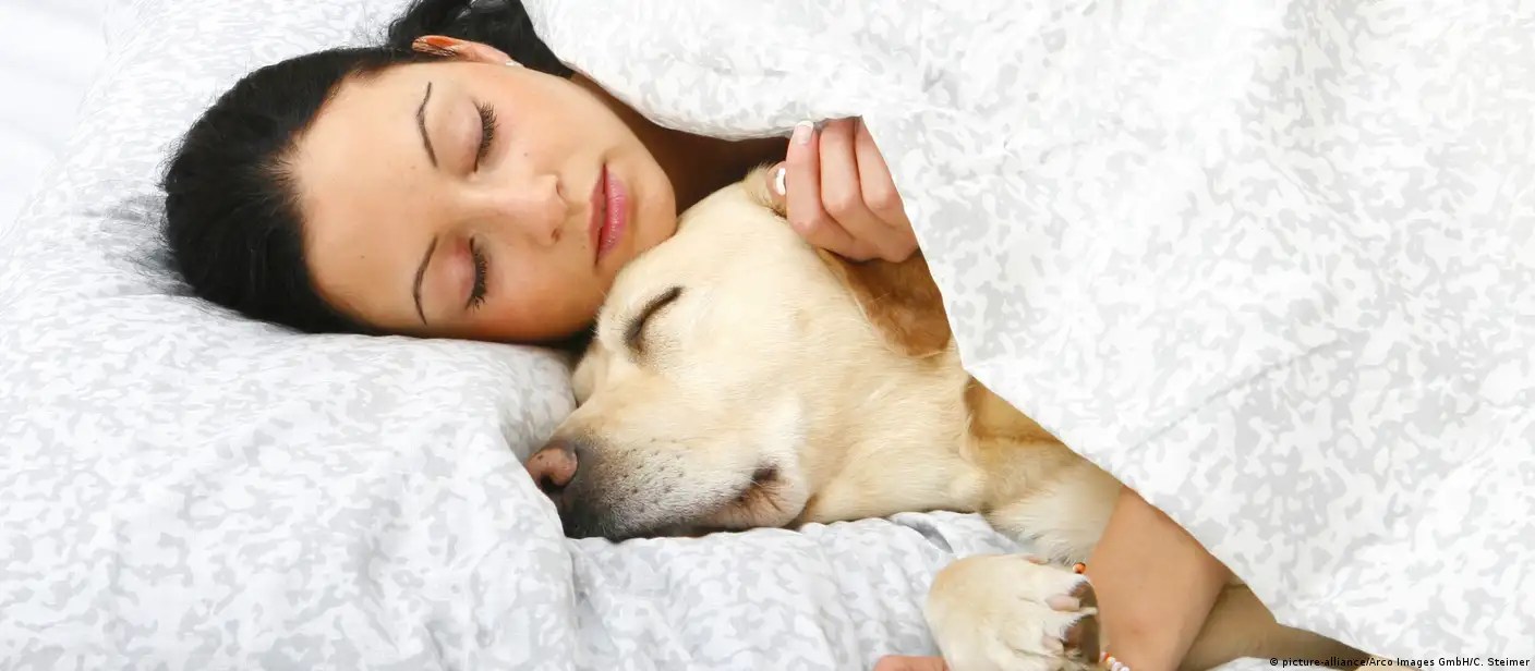 واحده تتناك من كلب