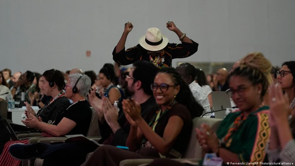 Disappointing Outcomes from COP30 Climate Talks: Key Takeaways and Implications Disappointing Outcomes from COP30 Climate Talks: Key Takeaways and Implications